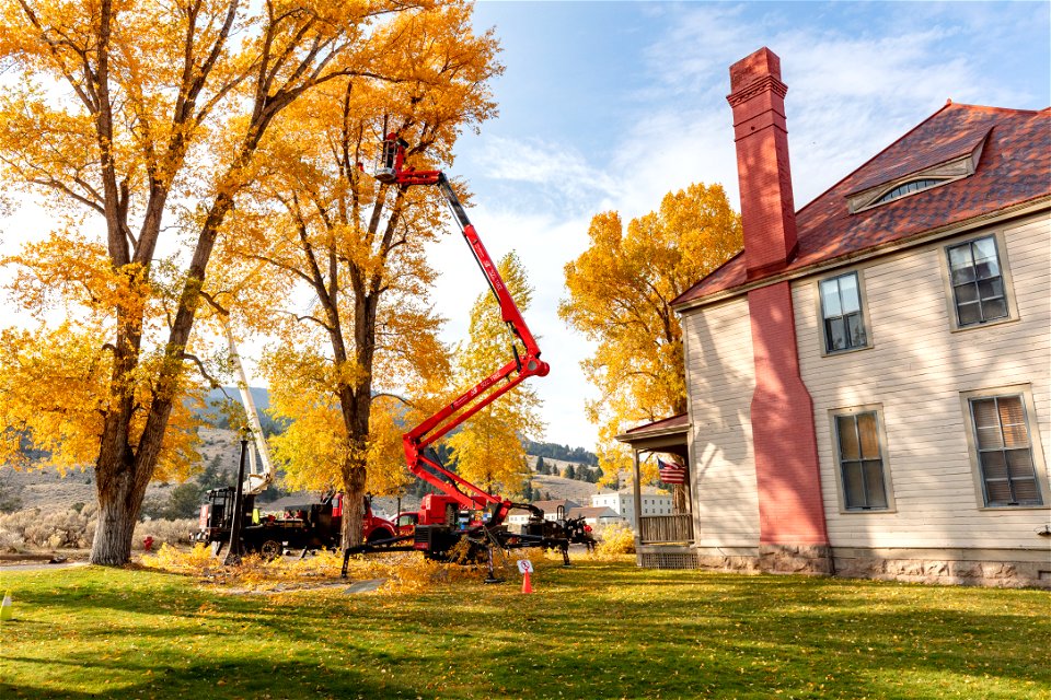 Fort Yellowstone Improvement Project: trimming trees