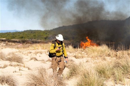 Siuslaw Oregon Dunes Prescribed Burn 2022 photo