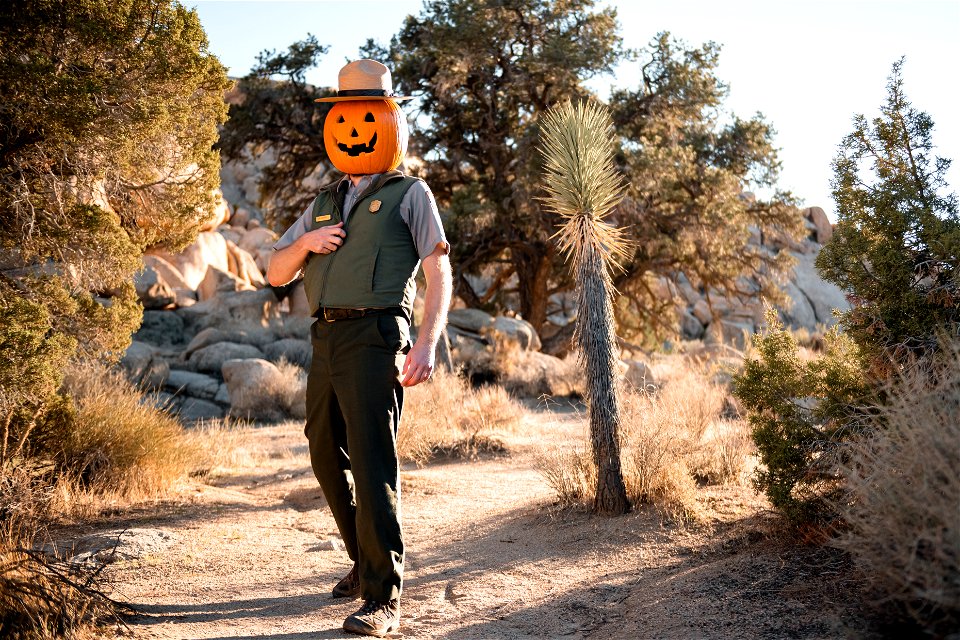 Ranger Jack O'Lantern