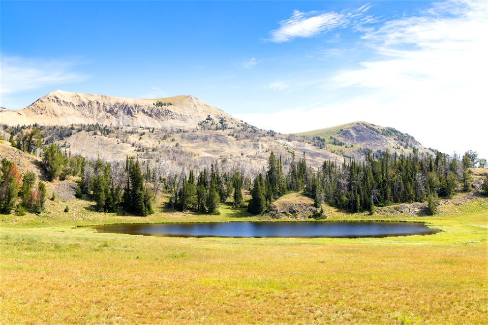 Headwaters of Fawn Creek near Fawn Pass (2)
