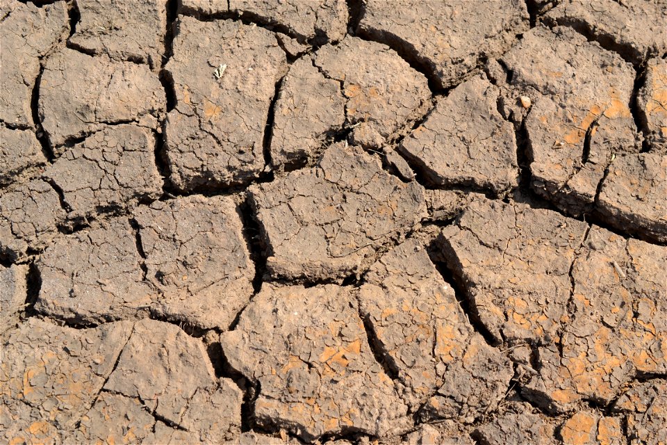 Free textures with cracks