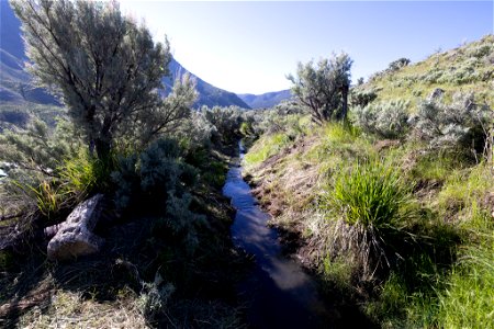 Yellowstone flood event 2022: old percolation pond ditch after brushing