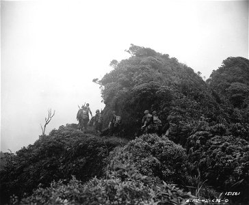 SC 151560 - An infantry marching across a trail during maneuvers in Hawaii. photo
