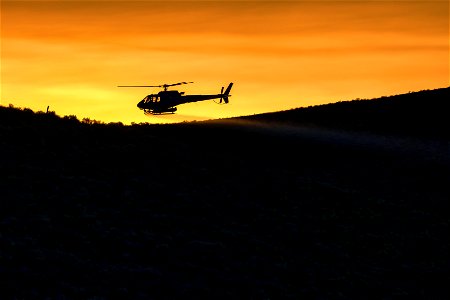 2021 BLM Fire Employee Photo Contest Winner Category: ESR and BAER photo