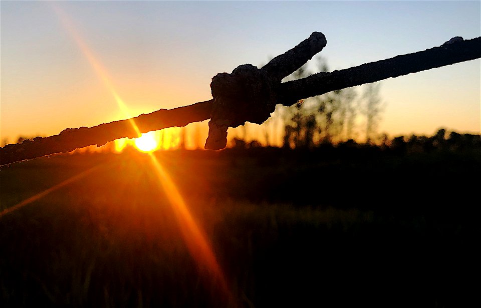 2021/365/182 It Ties the Whole Acreage Together