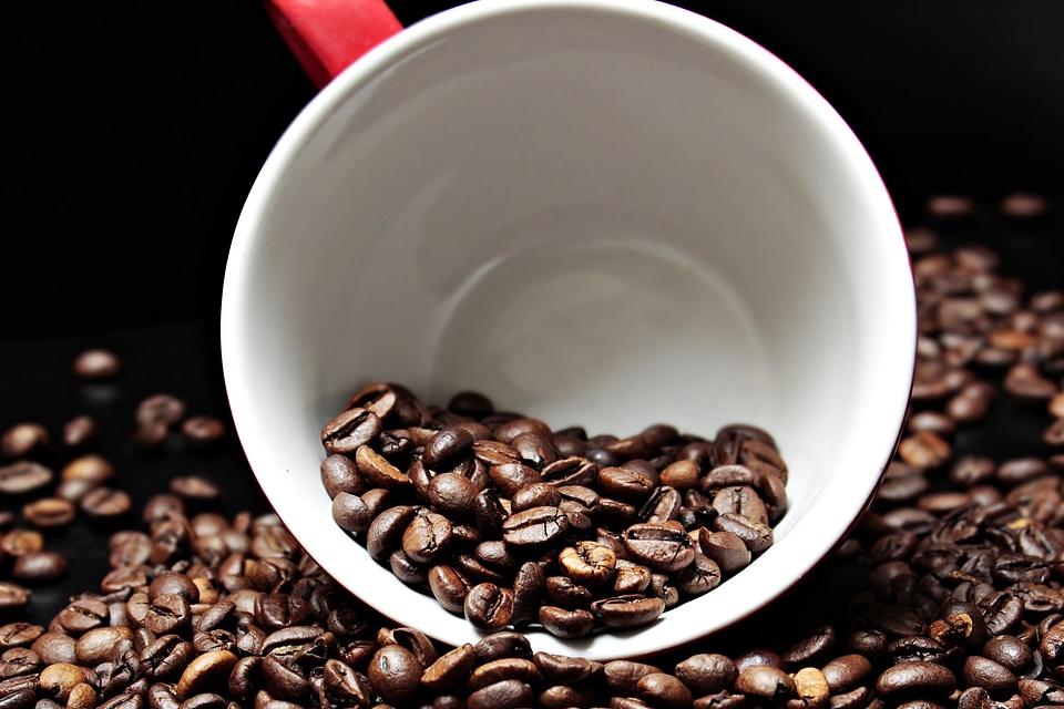 Coffee Beans in Cup
