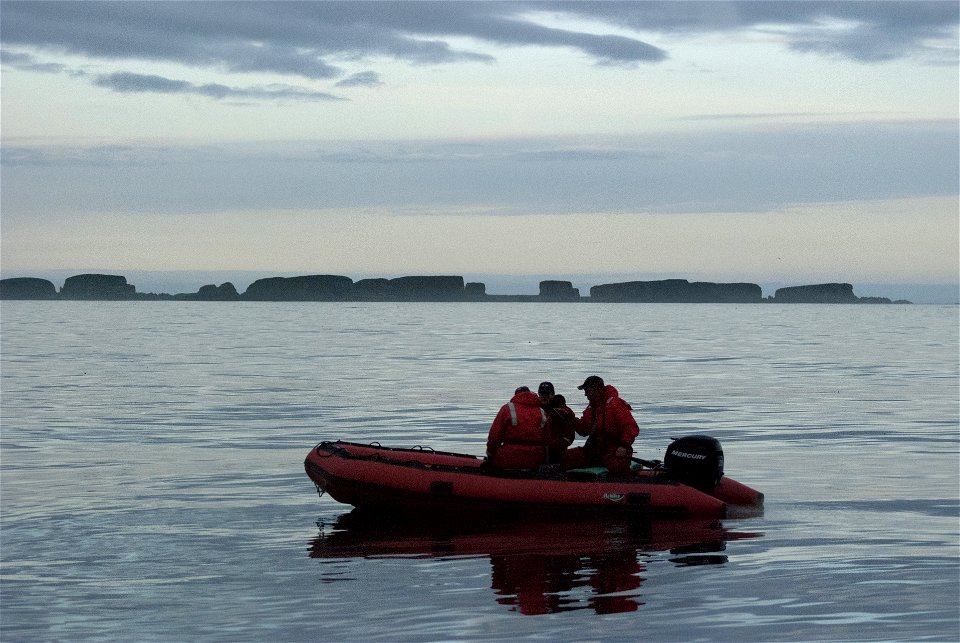 Off-shore wildlife surveying