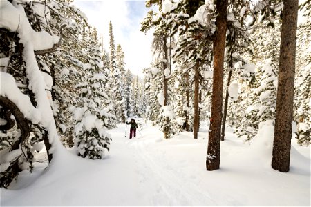 Views along the Divide Ski Trail (2)