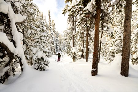 Views along the Divide Ski Trail (2) photo