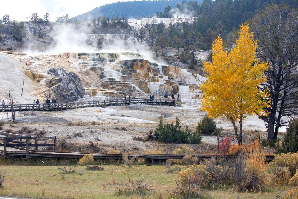 Mammoth Hot Spring Terraces in fall