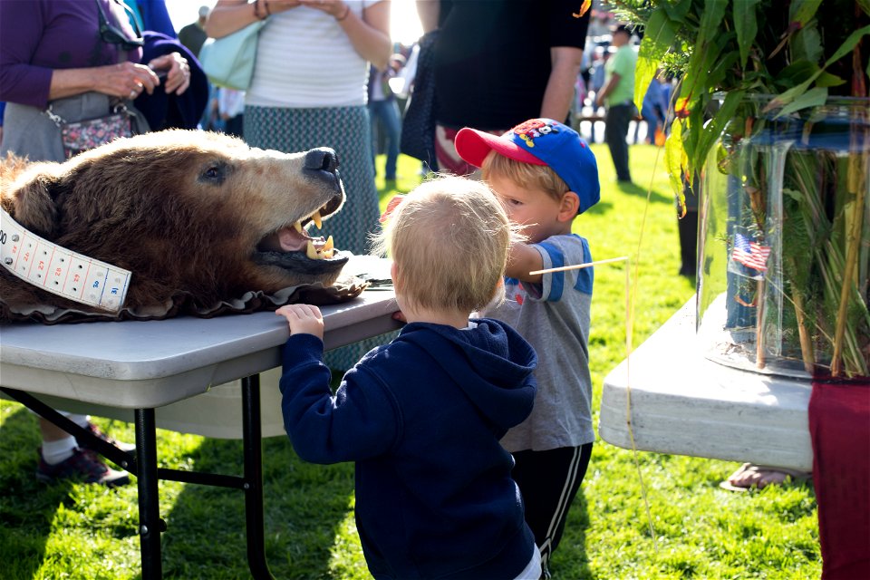 Kodiak Refuge Anniversary Party