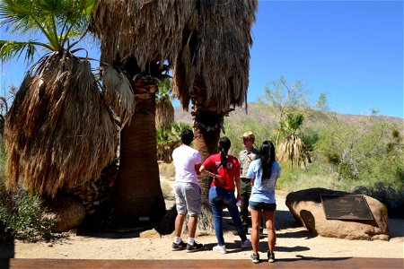 Park ranger giving an interpretive talk at the Oasis of Mara Visitor Center