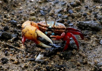 ZZIMG_8363