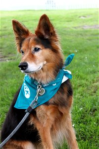 IMG_1596