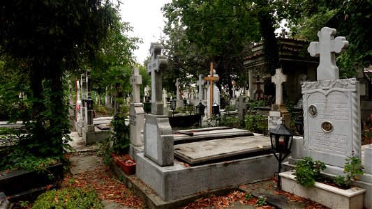DSC06606