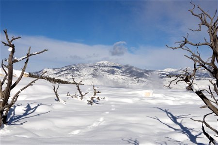 Snow-covered landscape on the Mammoth Hot Springs Terraces (2) photo