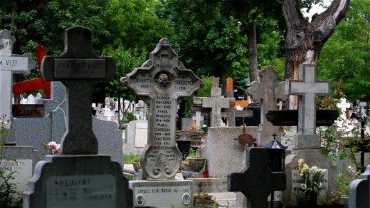 Bellu_cemetery (4)