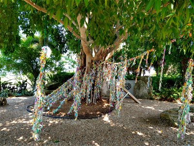 Tree of wishes  Dali Museum St Petersburg FL