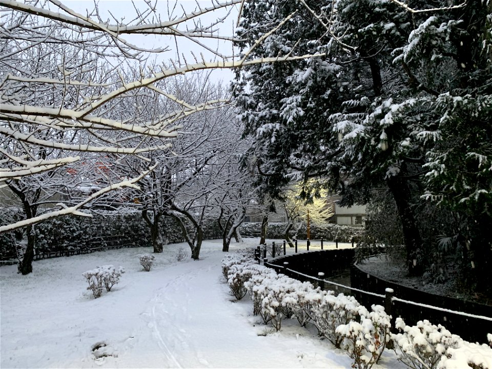 Kurome River in Shimosato, Higashikurume-shi