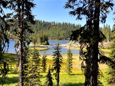 HelicopterDipping OliveLake CrocketsKnobFire USFSbyNickCronquist 220904 (2)
