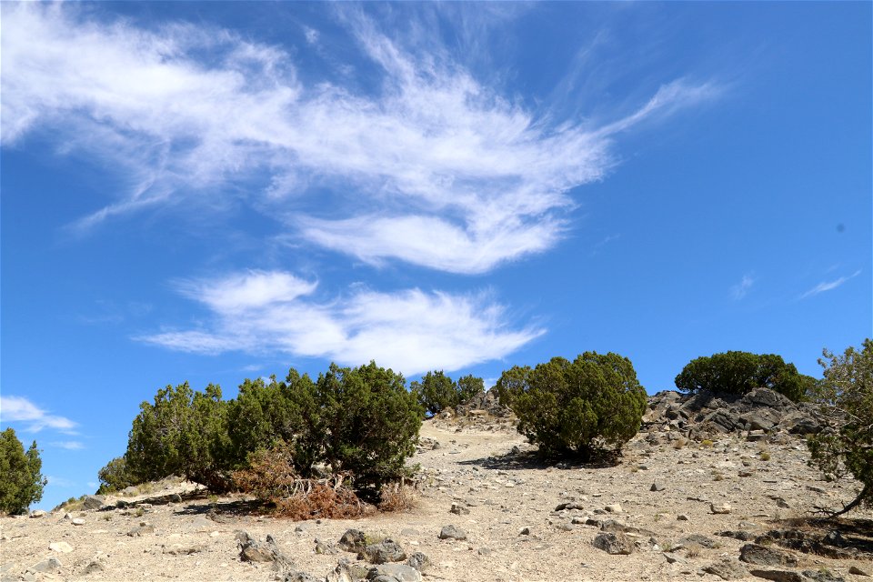 Fuel Type near Five Mile Pass; Lehi, Utah