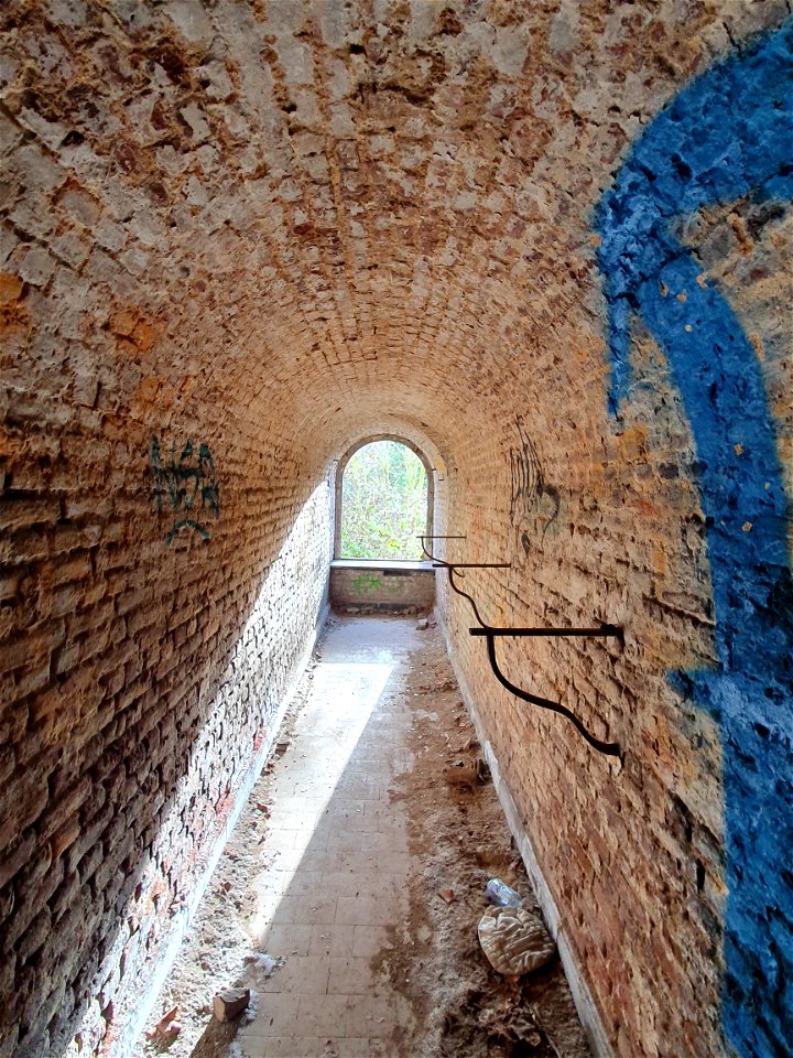 fort chartreuse
