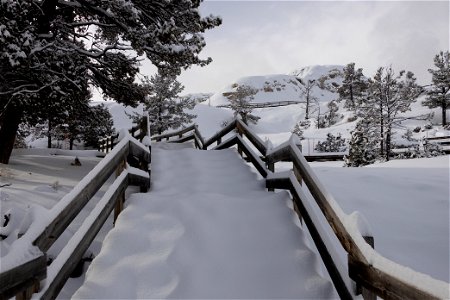 Snow-covered stairs on the Mammoth Hot Springs Terraces boardwalk photo