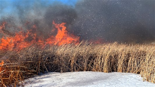 2021 USFWS Fire Employee Photo Contest Category: Fuels Management photo