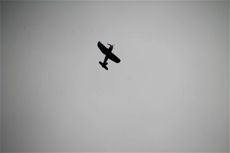 IMG_1875