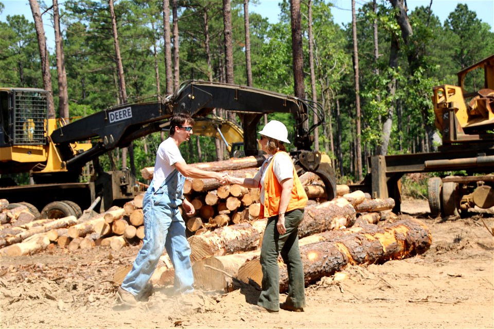 Stott Logging - Kisatchie National Forest - 001