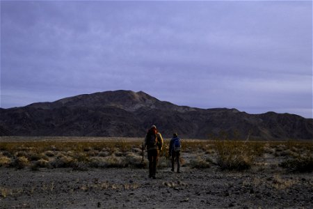 Researchers hiking in the Pinto Mountain and Turkey Flats area photo