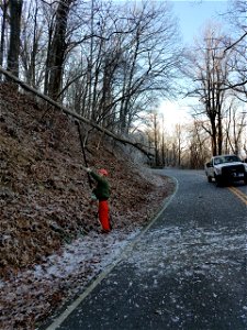 Ice Storm 202