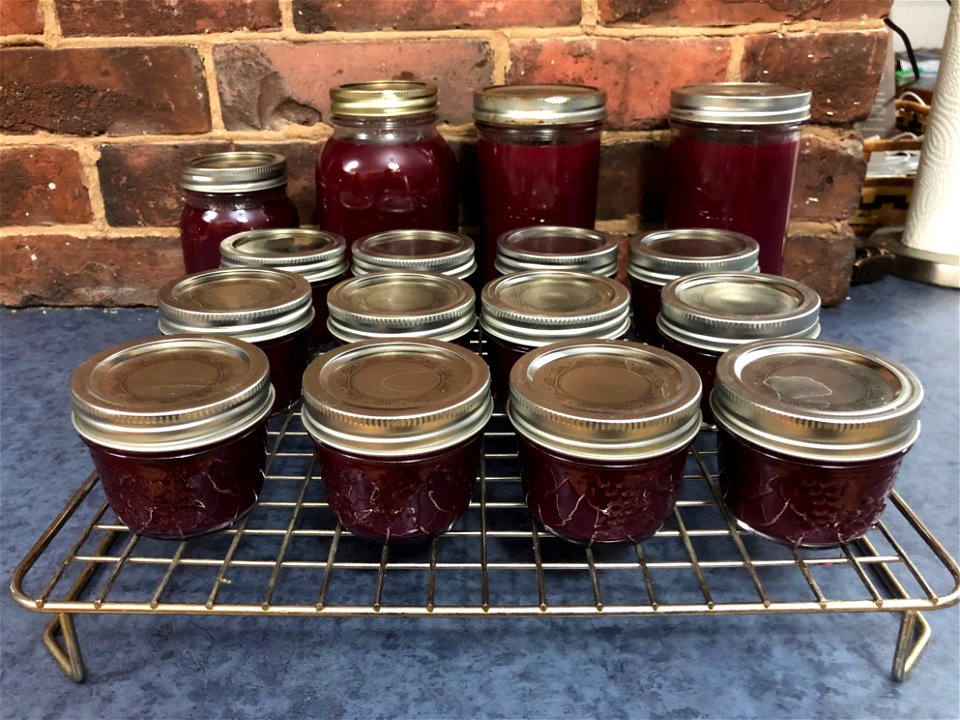 2021/365/226 Chokecherry Syrup