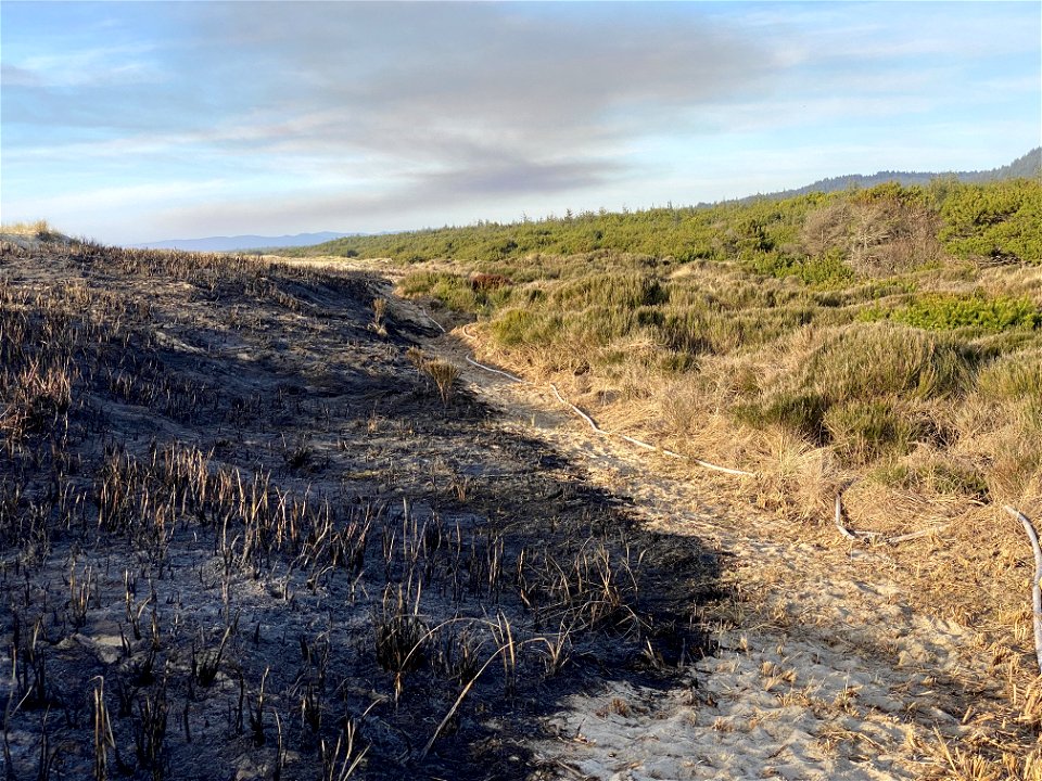Siuslaw Oregon Dunes Prescribed Burn 2022