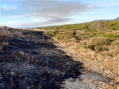 Siuslaw Oregon Dunes Prescribed Burn 2022