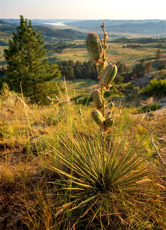 Timber Creek Ridge Recreation Area