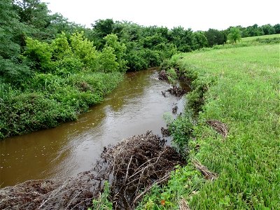 Red Cedar Revetment