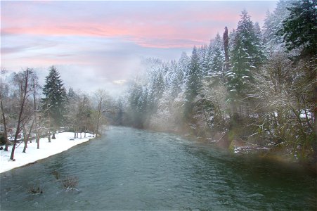 Siuslaw river in winter, Oregon photo