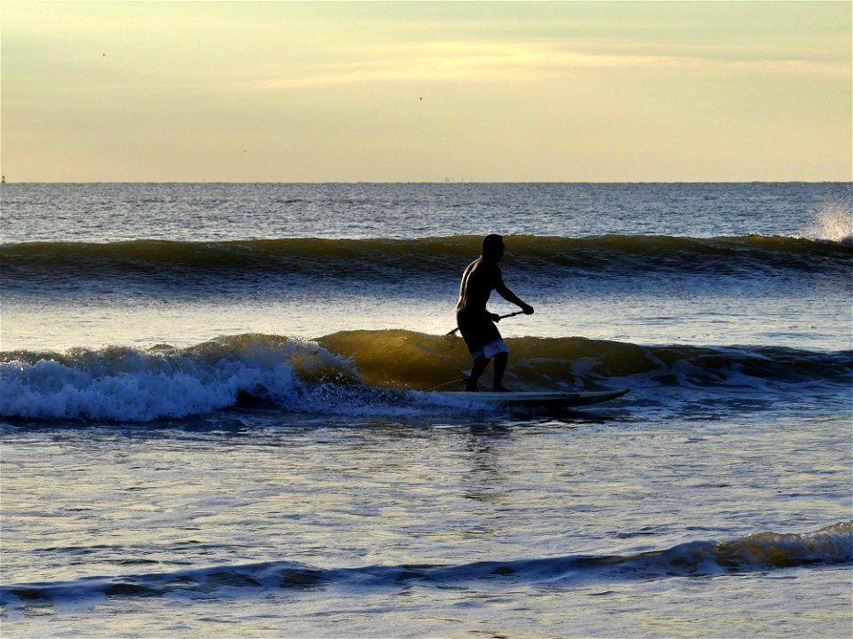 KATO PADDLE SURF-P1810055