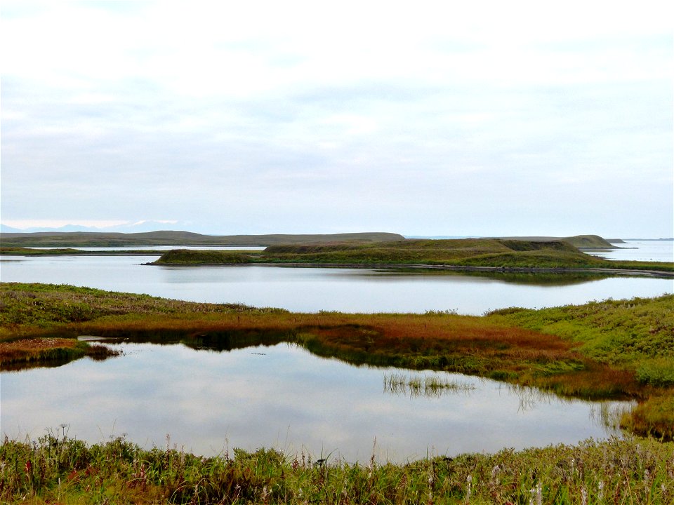 Fall colors at Izembek