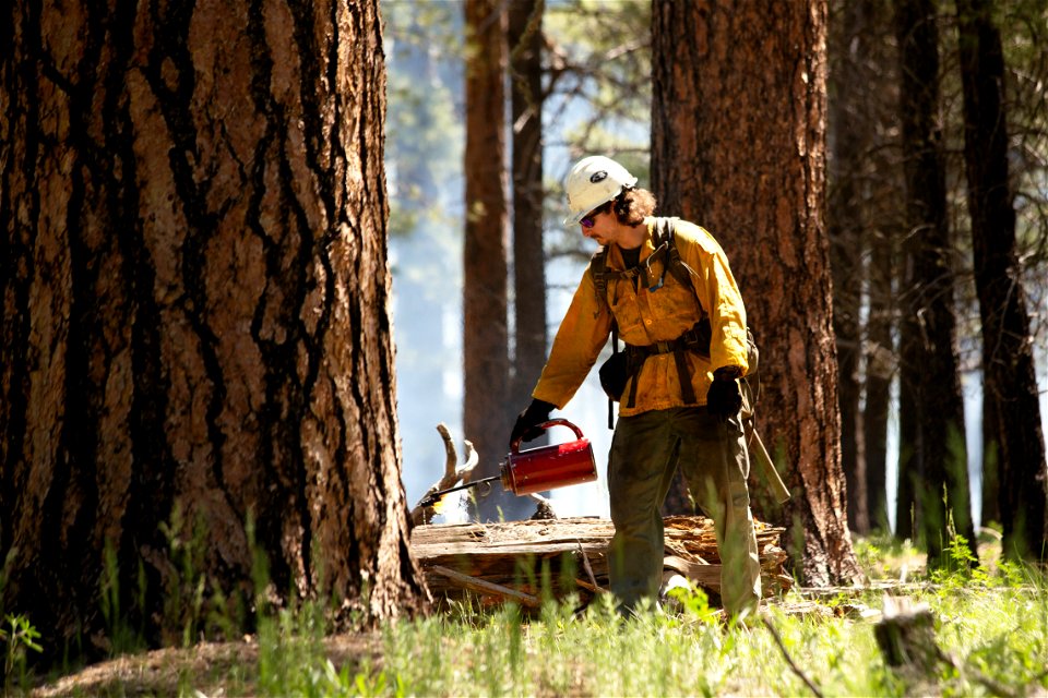 Crater Sinks prescribed fire project