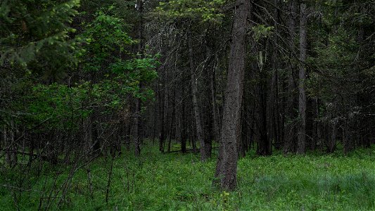 55.jpg