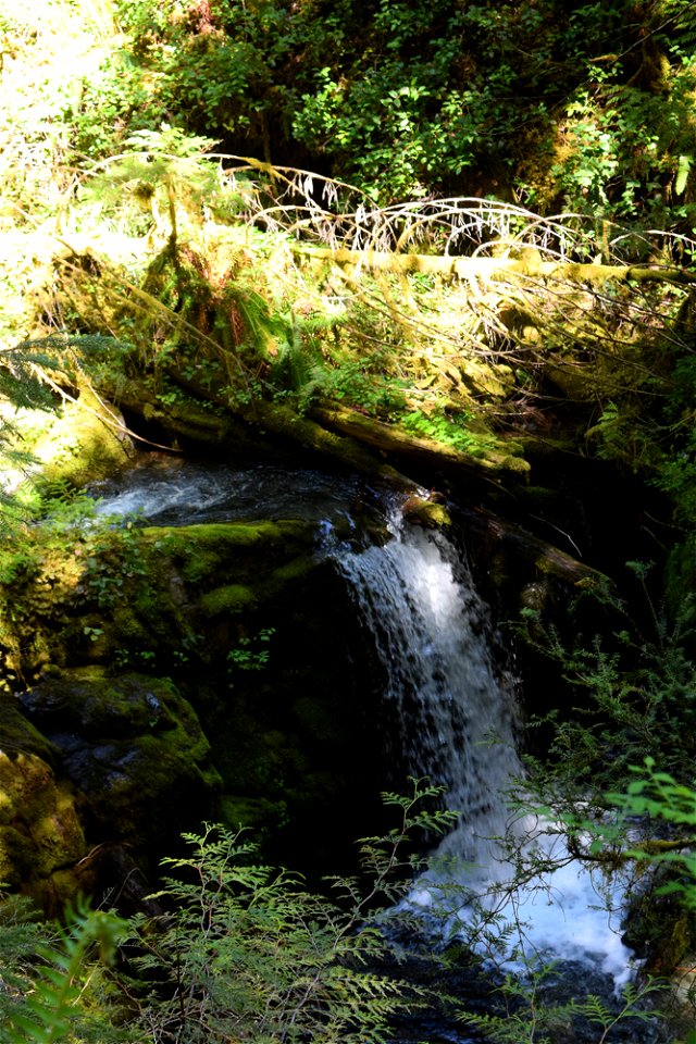 untitled-1364jpg_49364464516_o