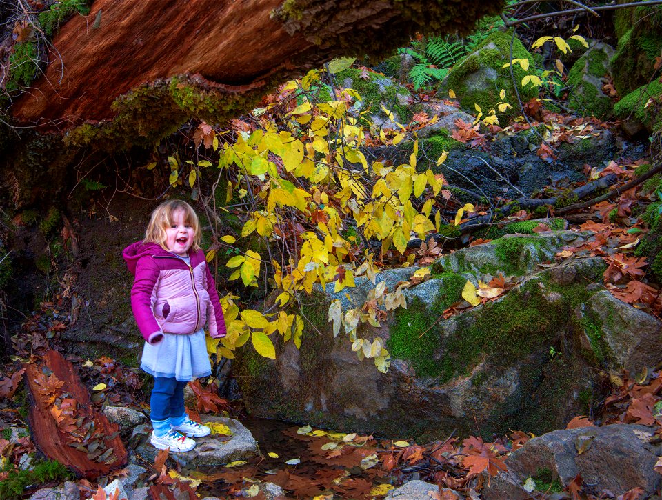 South Yuba Recreation Area Purdon Crossing photo