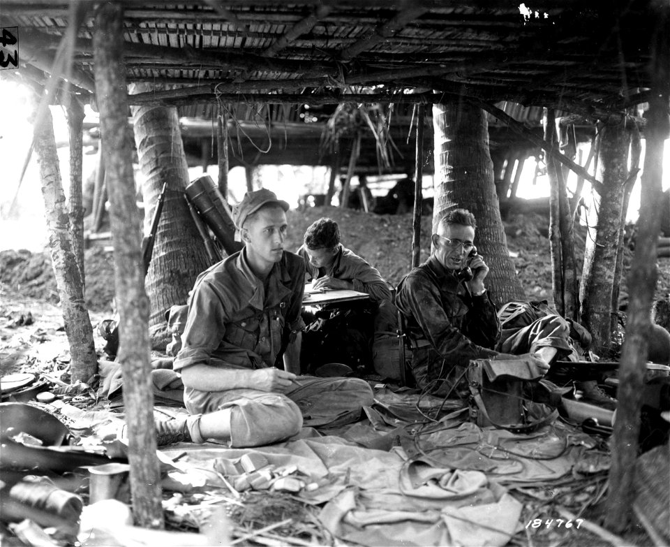 SC 184767 - Capt. R. M. Martin of Saint Mary's, Idaho; Col. William Jackson of Portland, Oregon; at gun position in New Guinea.