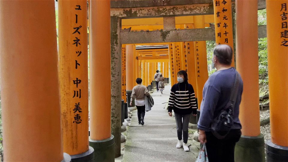 伏見稲荷/Fushimi Inari Shrine photo