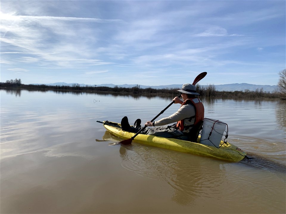Rescuing riparian brush rabbits