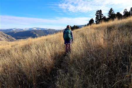 A hiker on the Beaver Ponds Loop Trail photo