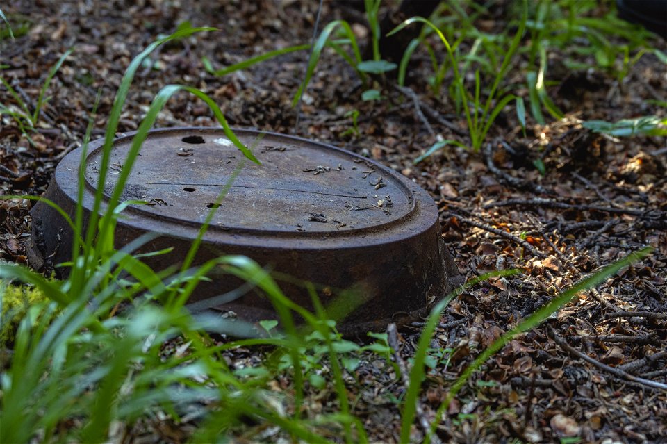 Park Archeologists investigate Kipp's Cabin