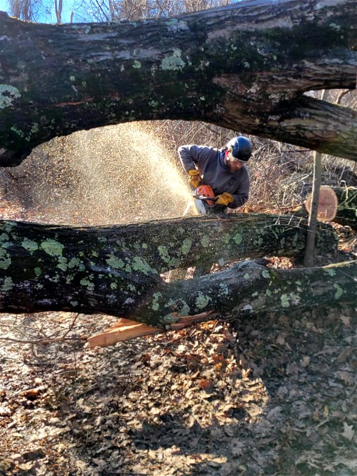 Trail Work on Fox Hollow Trail